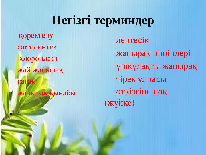 Негізгі терминдер қоректену фотосинтез хлоропласт жай жапырақ сағақ жапыр