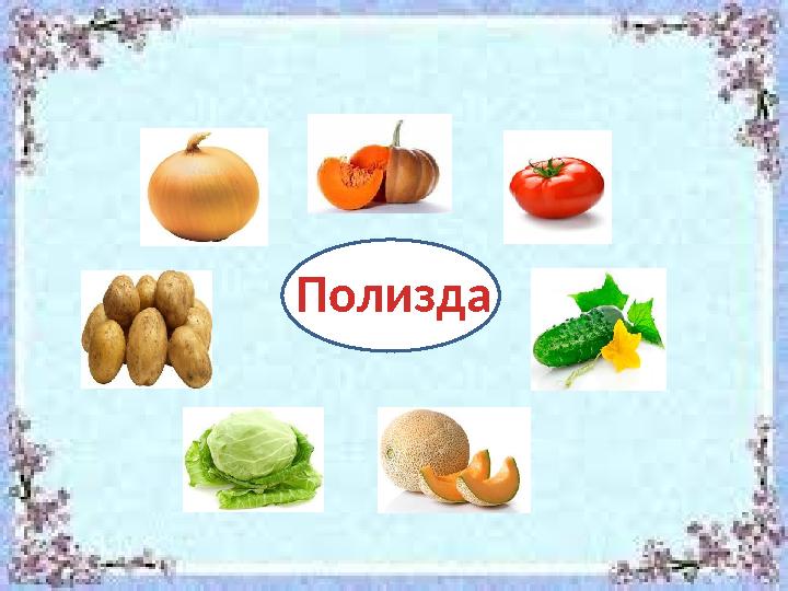 Полизда