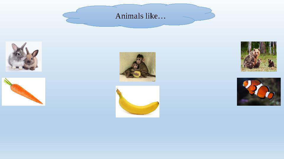 Animals like…