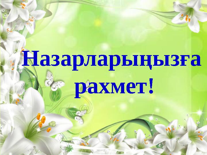 Назарлары ңызға рахмет!