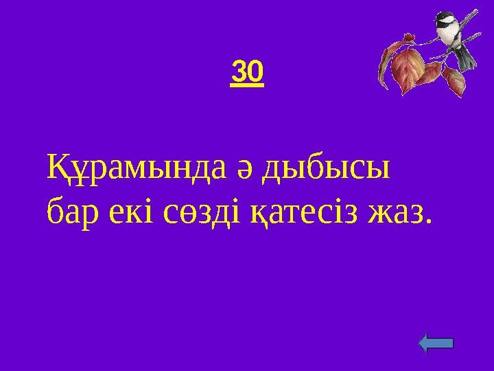 30 Құрамында ә дыбысы бар екі сөзді қатесіз жаз.