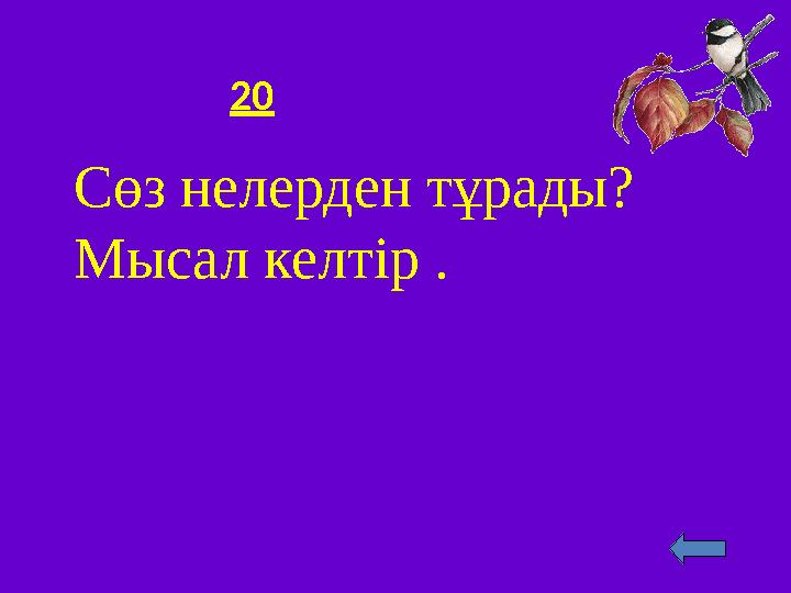 20 Сөз нелерден тұрады? Мысал келтір .