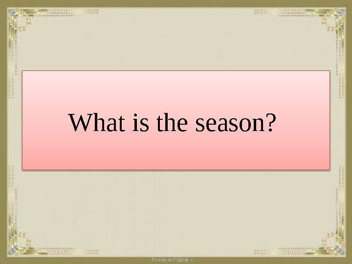 What is the season?