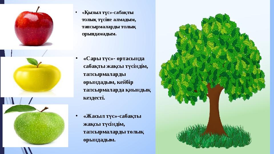 • «Қызыл түс»-сабақты толық түсіне алмадым, тапсырмаларды толық орындамадым. • «Сары түс»- ортасында сабақты жақсы түсіндім,