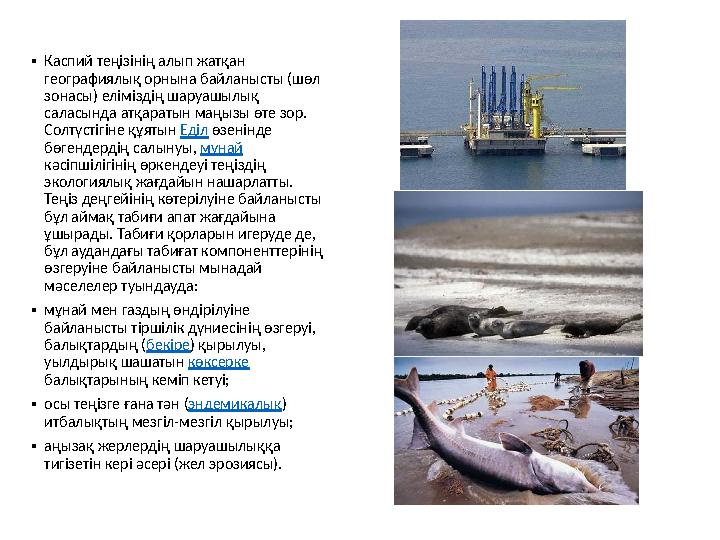 • Каспий теңізінің алып жатқан географиялық орнына байланысты (шөл зонасы) еліміздің шаруашылық саласында атқар
