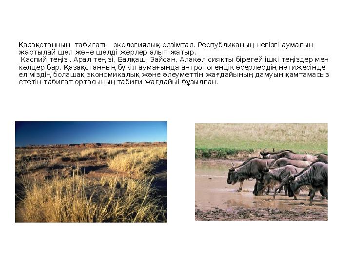 Қазақстанның табиғаты экологиялық сезімтал. Республиканың негізгі аумағын жартылай шөл және шөлді жерлер алып жатыр. Каспий