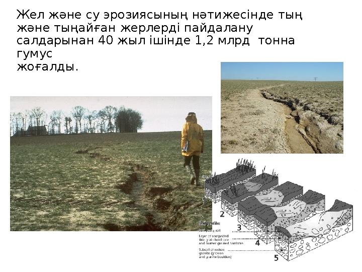 Жел және су эрозиясының нәтижесінде тың және тыңайған жерлерді пайдалану салдарынан 40 жыл ішінде 1,2 млрд тонна гумус жоғал