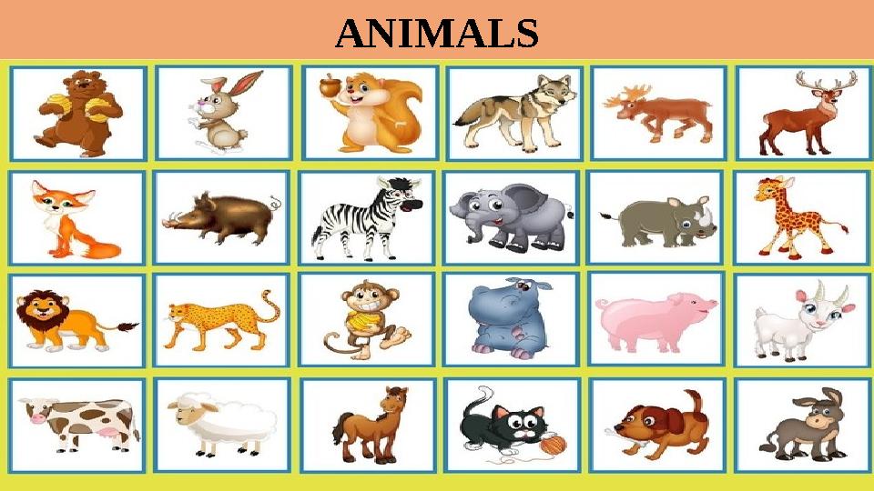 ANIMALS