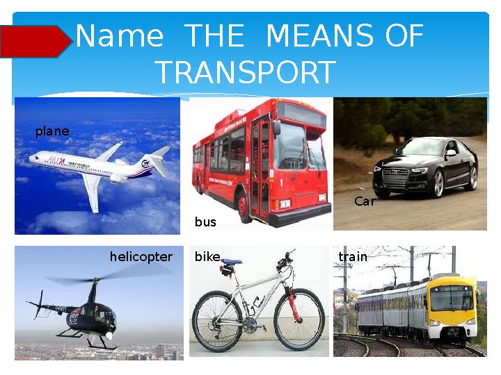Name THE MEANS OF TRANSPORT plane bus Car helicopter bike train