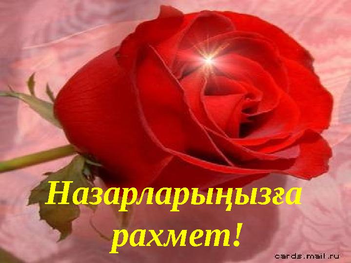 Назарларыңызға рахмет!