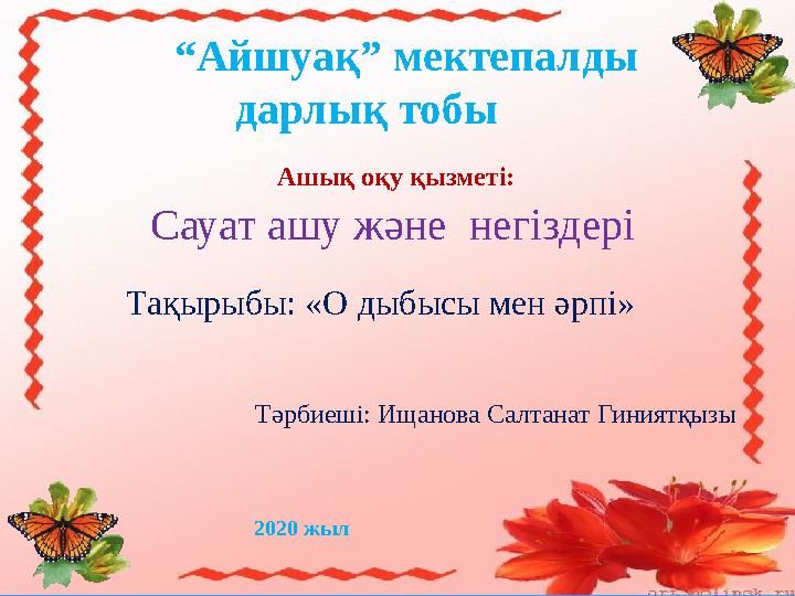 Ұшақтағы анальді секс