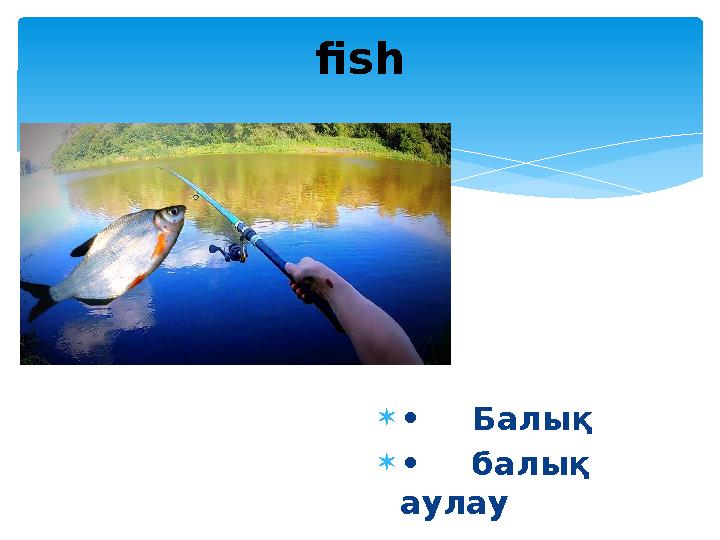 fish  • Балық  • балық аулау
