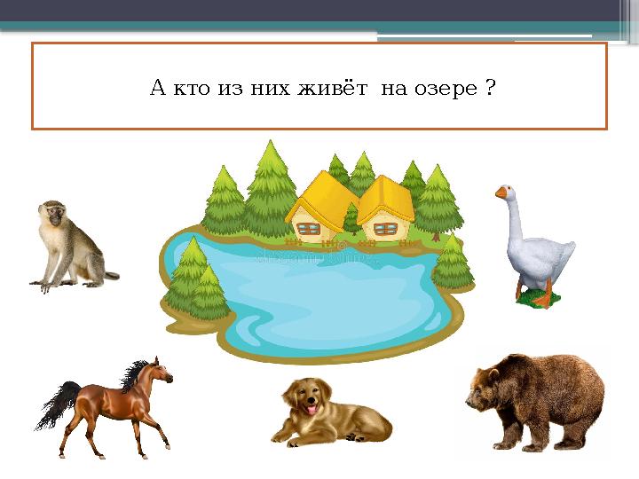 А кто из них живёт на озере ?