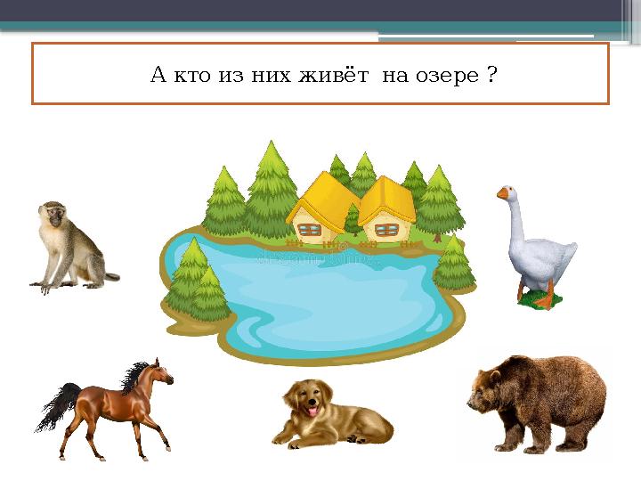 А кто из них живёт на озере ?