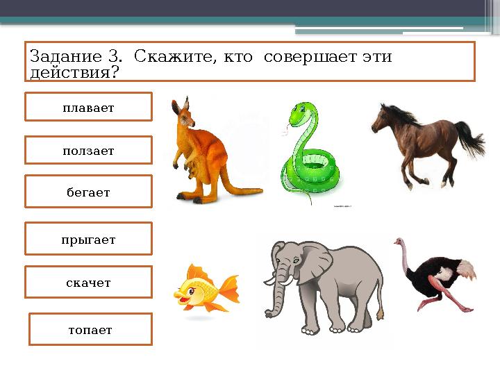 Задание 3. Скажите, кто совершает эти действия? топаетплавает ползает бегает прыгает скачет