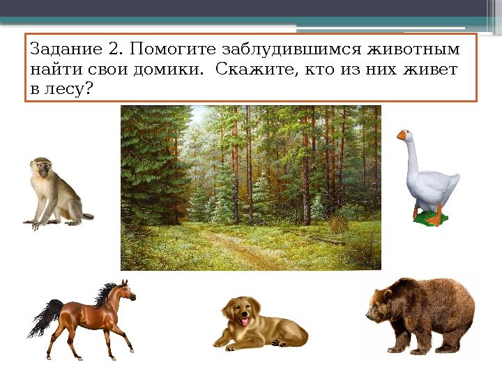 Задание 2. Помогите заблудившимся животным найти свои домики. Скажите, кто из них живет в лесу?