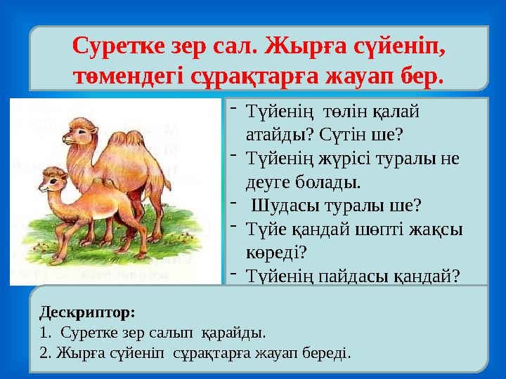 - Түйенің төлін қалай атайды? Сүтін ше? - Түйенің жүрісі туралы не деуге болады. - Шудасы туралы ше? - Түйе қандай шөпті жа