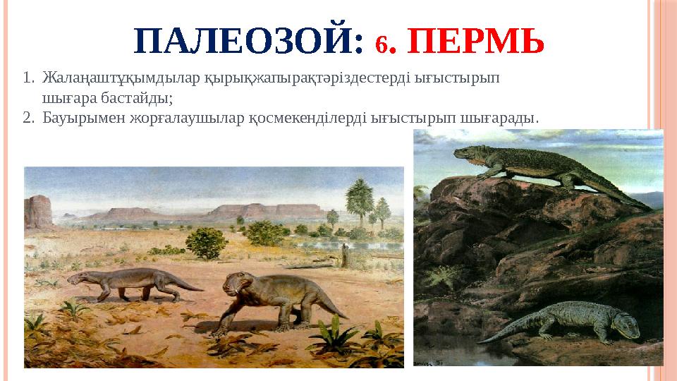 ПАЛЕОЗОЙ: 6 . ПЕРМЬ 1. Жалаңаштұқымдылар қырықжапырақтәріздестерді ығыстырып шығара бастайды; 2. Бауырымен жорғалаушылар қосме