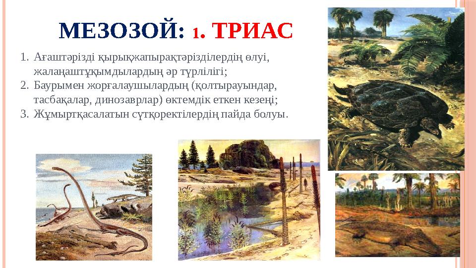 МЕЗОЗОЙ: 1 . ТРИАС 1. Ағаштәрізді қырықжапырақтәрізділердің өлуі, жалаңаштұқымдылардың әр түрлілігі; 2. Баурымен жорғалаушылар