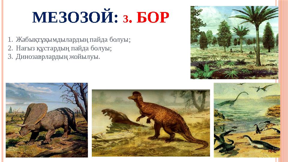 МЕЗОЗОЙ: 3 . БОР 1. Жабықтұқымдылардың пайда болуы; 2. Нағыз құстардың пайда болуы; 3. Динозаврлардың жойылуы.