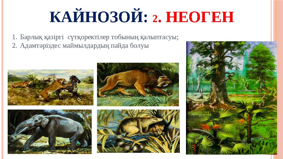 КАЙНОЗОЙ: 2 . НЕОГЕН 1. Барлық қазіргі сүтқоректілер тобының қалыптасуы; 2. Адамтәріздес маймылдардың пайда болуы