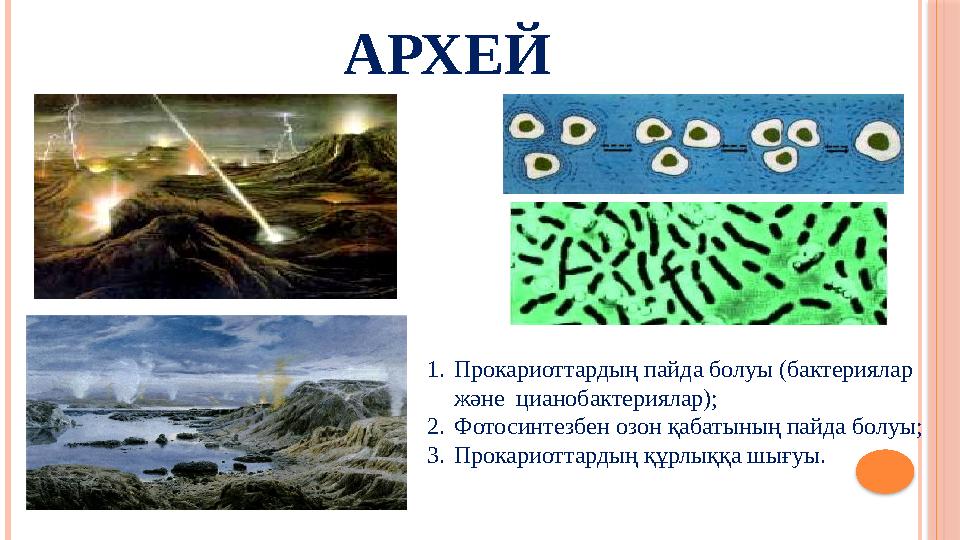 АРХЕЙ 1. Прокариоттардың пайда болуы (бактериялар және цианобактериялар); 2. Фотосинтезбен озон қабатының пайда болуы; 3. Прок