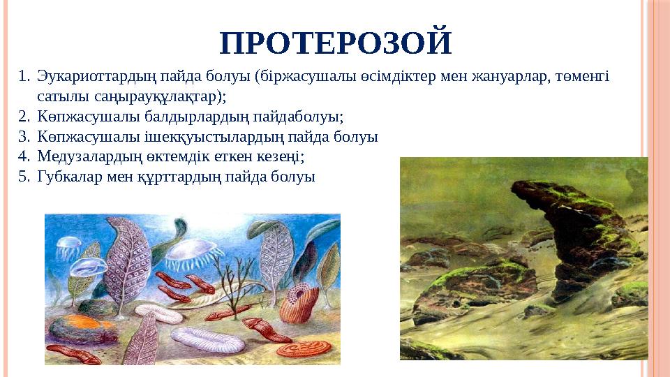 ПРОТЕРОЗОЙ 1. Эукариоттардың пайда болуы (біржасушалы өсімдіктер мен жануарлар, төменгі сатылы саңырауқұлақтар); 2. Көпжасушалы
