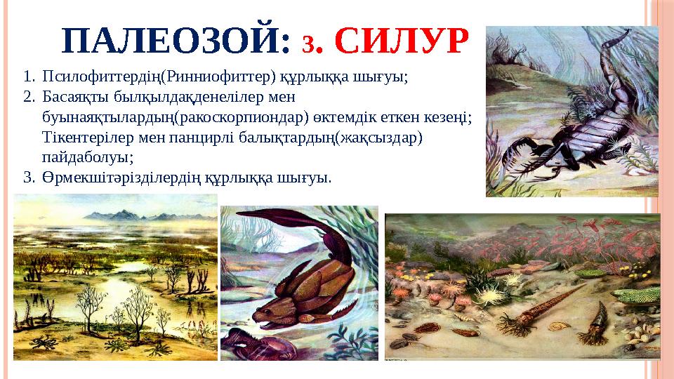 ПАЛЕОЗОЙ: 3 . СИЛУР 1. Псилофиттердің(Ринниофиттер) құрлыққа шығуы; 2. Басаяқты былқылдақденелілер мен буынаяқтылардың(ракоско