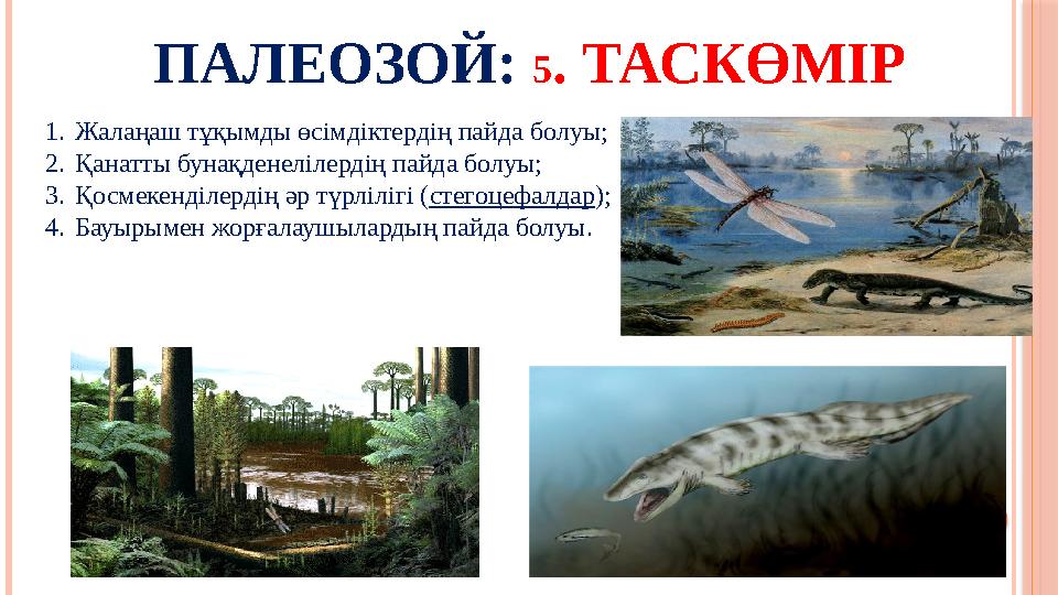 ПАЛЕОЗОЙ: 5 . ТАСКӨМІР 1. Жалаңаш тұқымды өсімдіктердің пайда болуы; 2. Қанатты бунақденелілердің пайда болуы; 3. Қосмекенділер
