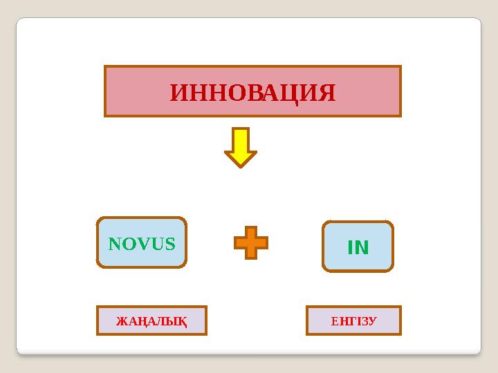 ИННОВАЦИЯ NOVUS IN ЖАҢАЛЫҚ ЕНГІЗУ