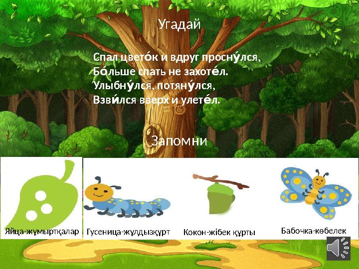 Угадай Спал цвет к и вдруг просн лся, с тс Б льше спать не захот л. с ис Улыбн лся, потян лся, тс тс Взв лся вверх и улет л.