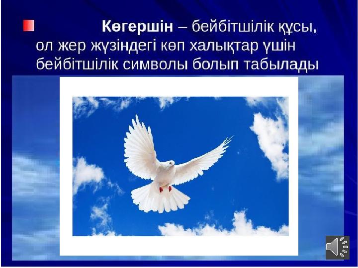 www.ZHARAR.com