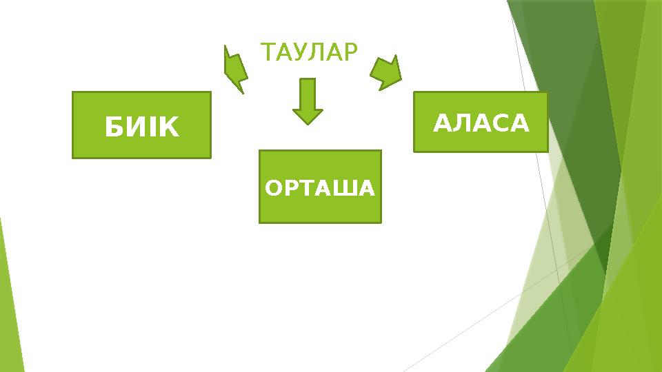 ТАУЛАР БИІК ОРТАША АЛАСА