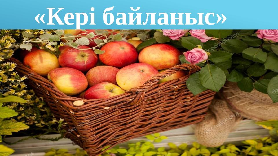 «Кері байланыс»