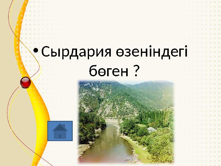 • Сырдария өзеніндегі бөген ?