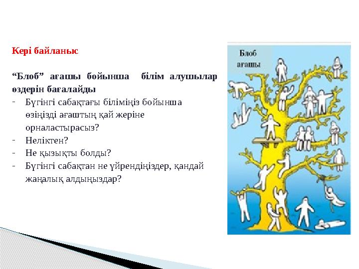 Кері байланыс “ Блоб” ағашы бойынша білім алушылар өздерін бағалайды - Бүгінгі сабақтағы біліміңіз бойынша өзіңізді аға