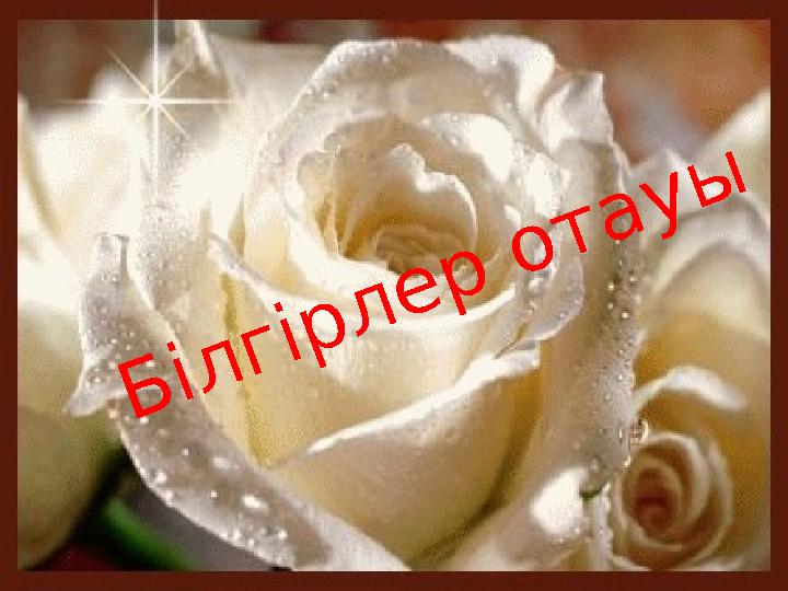 img_page_1