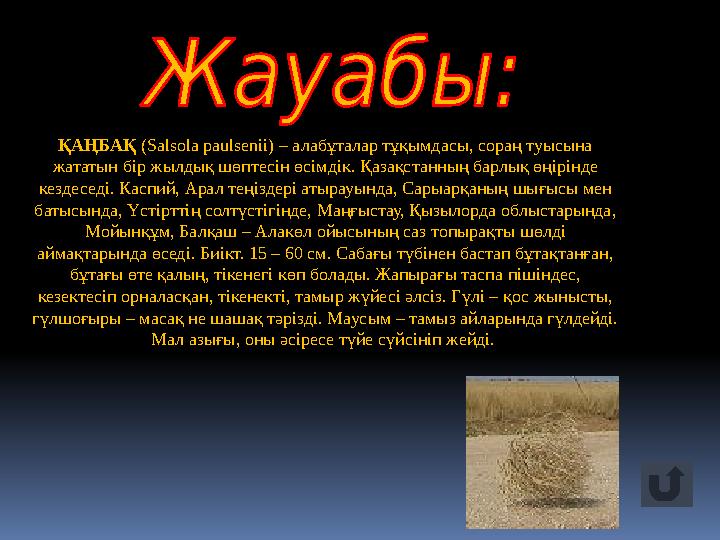 ҚАҢБАҚ ( Salsola paulsen іі) – алабұталар тұқымдасы, сораң туысына жататын бір жылдық шөптесін өсімдік. Қазақстанның барлық өң