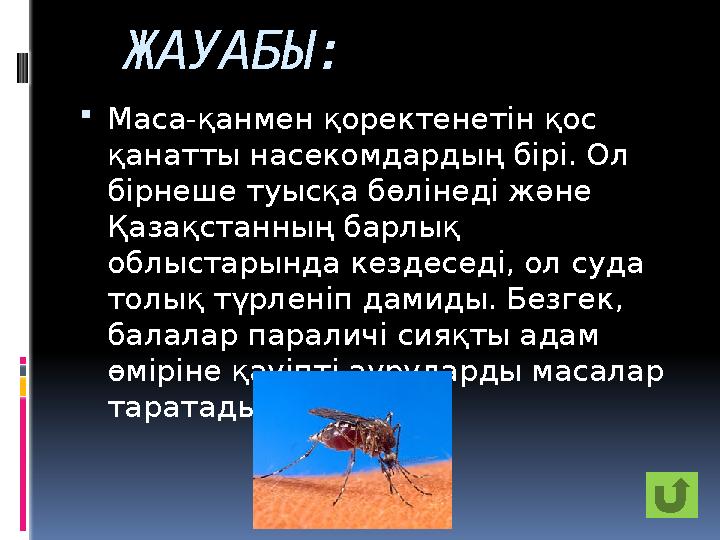 ЖАУАБЫ:  Маса-қанмен қоректенетін қос қанатты насекомдардың бірі. Ол бірнеше туысқа бөлінеді және Қазақстанның барлық облыс