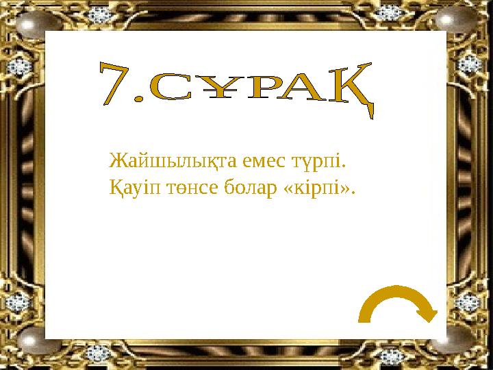 Жайшылықта емес түрпі. Қауіп төнсе болар «кірпі».