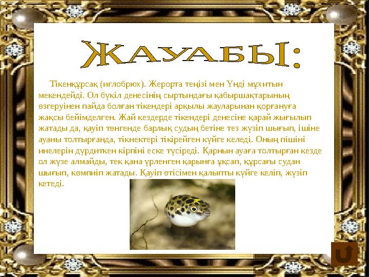 Тікенқұрсақ (иглобрюх). Жерорта теңізі мен Үнді мұхитын мекендейді. Ол бүкіл денесінің сыртындағы қабыршақтарының өзгеру