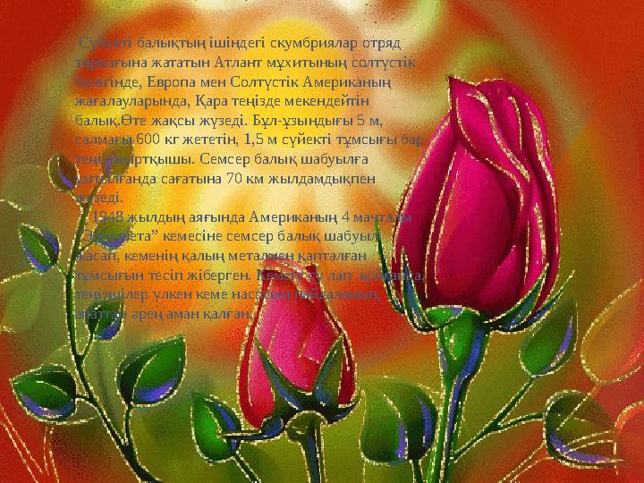 3-кезең “ Бәрі де бәрі туралы” Сүйекті балықтың ішіндегі скумбриялар отряд тармағына жататын Атлант мұхитының солтүстік бөл