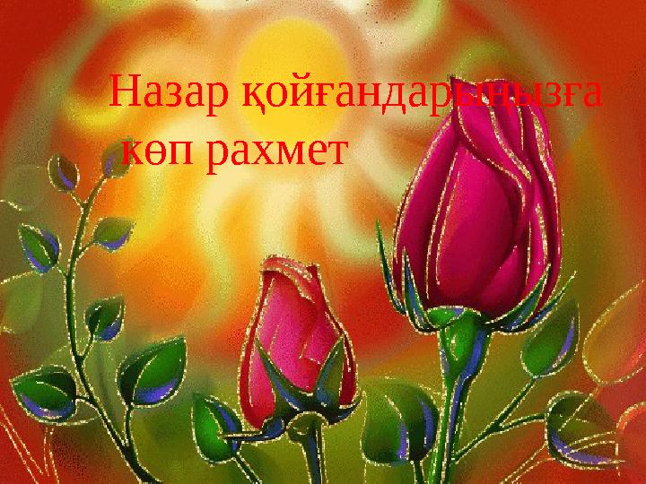 Назар қойғандарыңызға көп рахмет