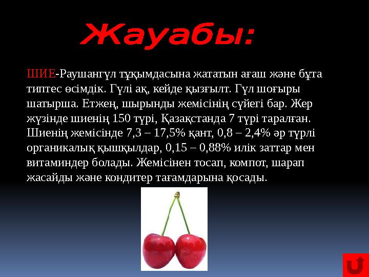 ШИЕ -Раушангүл тұқымдасына жататын ағаш және бұта типтес өсімдік. Гүлі ақ, кейде қызғылт. Гүл шоғыры шатырша. Етжең, шырынды ж