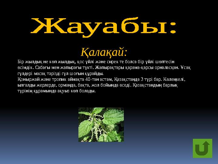 Камера алдында атақтылардың азғындығы