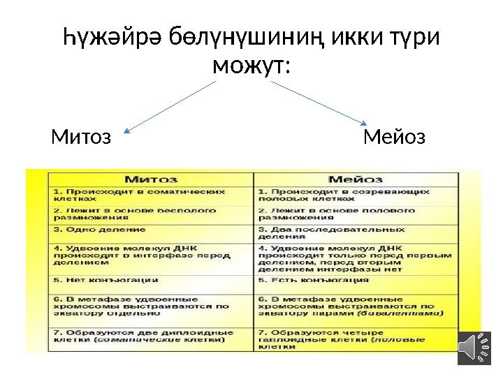 Һүжәйрә бөлүнүшиниң икки түри можут: Митоз Мейоз