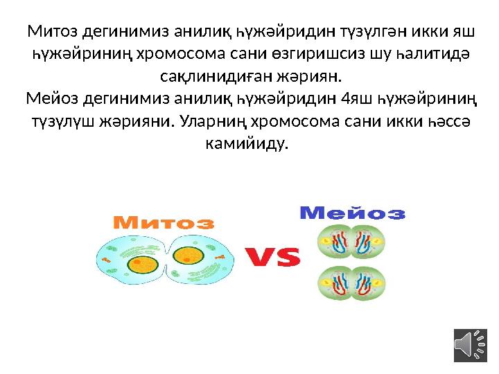 Митоз дегинимиз анилиқ һүжәйридин түзүлгән икки яш һүжәйриниң хромосома сани өзгиришсиз шу һалитидә сақлинидиған жәриян. Мейоз