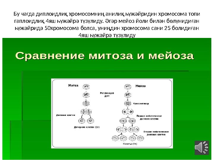 Бу чағда диплоидлиқ хромосомниң анилиқ һүжәйридин хромосома топи гаплоидлиқ 4яш һүжәйрә түзүлиду. Әгәр мейоз йоли билән бөлүнид