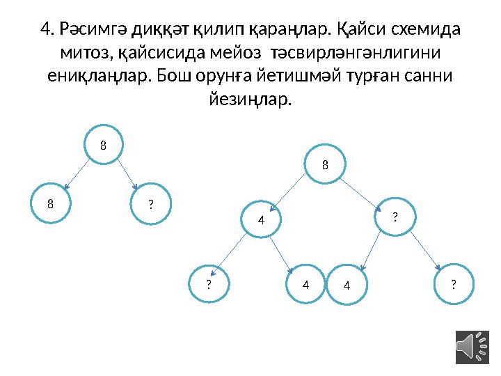 4. Рәсимгә диққәт қилип қараңлар. Қайси схемида митоз, қайсисида мейоз тәсвирләнгәнлигини ениқлаңлар. Бош орунға йетишмәй тур