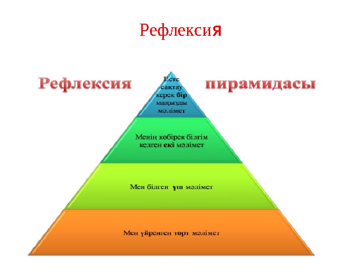 Рефлекси я